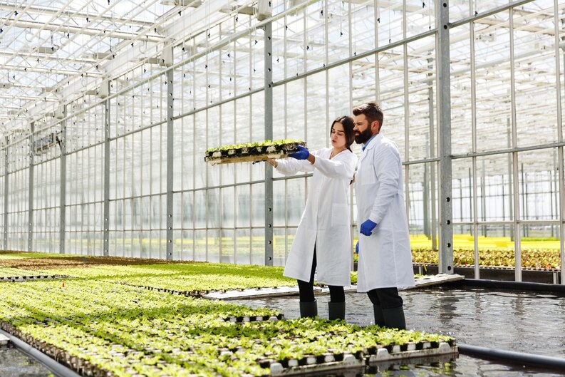 Dubai to build world's largest vertical farm