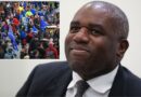 POLL OF THE DAY: Do you trust David Lammy to defend Brexit after Brussels bloc meeting for EU reset?