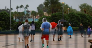 Disney World closes Orlando theme park as Hurricane Milton set to smash Florida