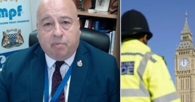 ‘Absurd!’ Support grows for police chair who was suspended after speaking to GB News on Met race fears