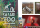 Horror images reveal scale of alleged animal abuse at Britain’s ‘worst zoo’