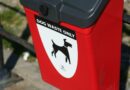 Labour council issued just TWO fines for dog fouling despite receiving more than 700 reports