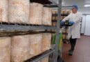 Police arrest 63-year-old after 22 tonnes of cheddar stolen in cheese con