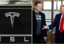 Tesla stocks rise 12% overnight as Elon Musk to benefit if Donald Trump wins US election