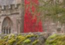 Village ‘blown away’ as visitors from around UK visit Remembrance Poppy cascade