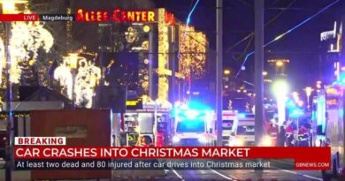 Magdeburg: ‘Copycat’ warning issued as Britons urged to stay vigilant after deadly Christmas market incident