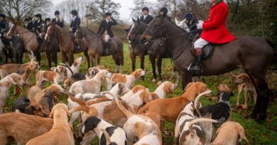 Labour set to strengthen anti-hunting laws with plan to issue huge fines to fox hunters