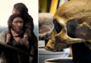 Human origins: Neanderthals and Homo sapiens mated within past 50,000 years, new research suggests