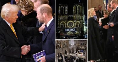 Prince William shakes hands with Donald Trump as Prince of Wales takes on important role at Notre Dame reopening