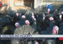 Turkey farms hit with outbreak of bird flu just days before Christmas