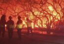 Looters ‘dressed as firefighters’ arrested after plundering burnt houses following LA wildfires that have killed 16