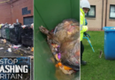 ‘The rats are having a party!’: Glasgow in the middle of vermin ‘epidemic’ with pests spreading disease across city, union warns