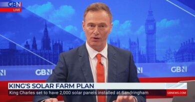 ‘There’s not enough money!’ Fears desperate farmers could ABANDON food-production and turn land into mass solar farms