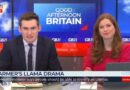 ‘Seriously?’ GB News hosts left stunned as Labour guest DEFENDS ‘llama’ remark