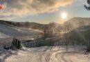 Scotland botanic gardens won’t recover for YEARS after Storm Eowyn wreaked weather chaos – ‘Our 160-year-old tree snapped in two!’