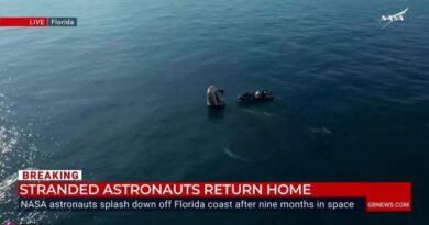 WATCH: Dolphins surround SpaceX capsule as Nasa astronauts return to Earth