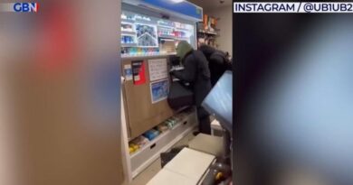 WATCH: Brazen masked thieves ransack Tesco as TERRIFIED workers plead for mercy in shocking footage