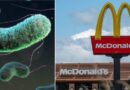 McDonald’s linked with major E Coli outbreak after one dead and 10 hospitalised