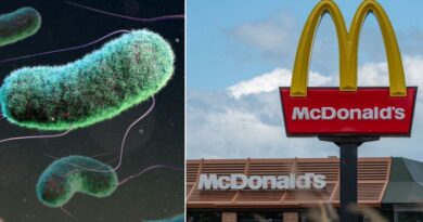 McDonald’s linked with major E Coli outbreak after one dead and 10 hospitalised