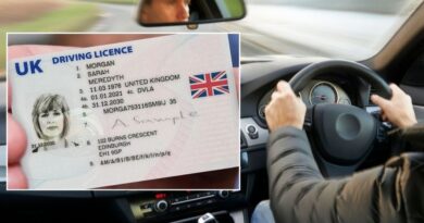 Major driving licence changes set to launch soon with new agreement impacting British expats