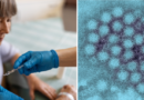 Norovirus: World’s first vaccine for deadly vomiting bug to be trialled in the UK as hospitalisations soar