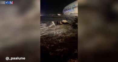 Sydney Airport runway on FIRE after plane ‘explosion’ as flights aborted