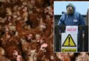 Bird flu: Health fears erupt after outbreak confirmed at Yorkshire poultry farm – Defra begins major cull