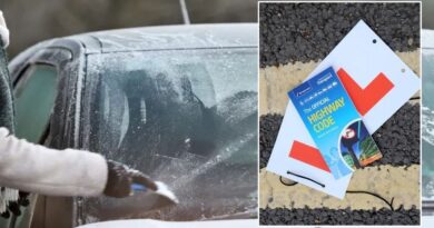 Drivers urged to clear windscreen frost or risk breaking Highway Code rules – ‘Makes a big difference’