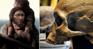 Human origins: Neanderthals and Homo sapiens mated within past 50,000 years, new research suggests