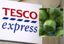 Tesco shares big change in its Brussels sprouts this year – 25% bigger and ‘noticeably tastier’