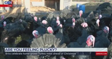 Turkey farms hit with outbreak of bird flu just days before Christmas