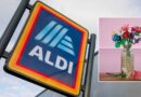 Aldi launches unique Valentine’s Day flowers that won’t die for just £2.99 – but shoppers must be quick