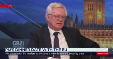 ‘You watch’: Ex-Brexit chief warns Nigel Farage ‘Britain will get sucked in’ as Starmer eyes EU reset