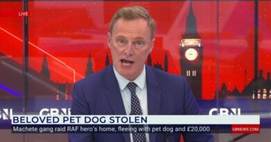 RAF hero’s wife reveals she suffers panic attacks and has to take medication after machete-wielding robbers stole family dog in horror ordeal: ‘We’ve had to relocate’