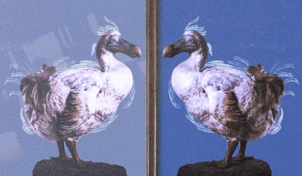 Meta’s AI ad plan raises stakes – even if creative execs are shrugging it off Meta’s AI ad plan raises stakes – even if creative execs are shrugging it off