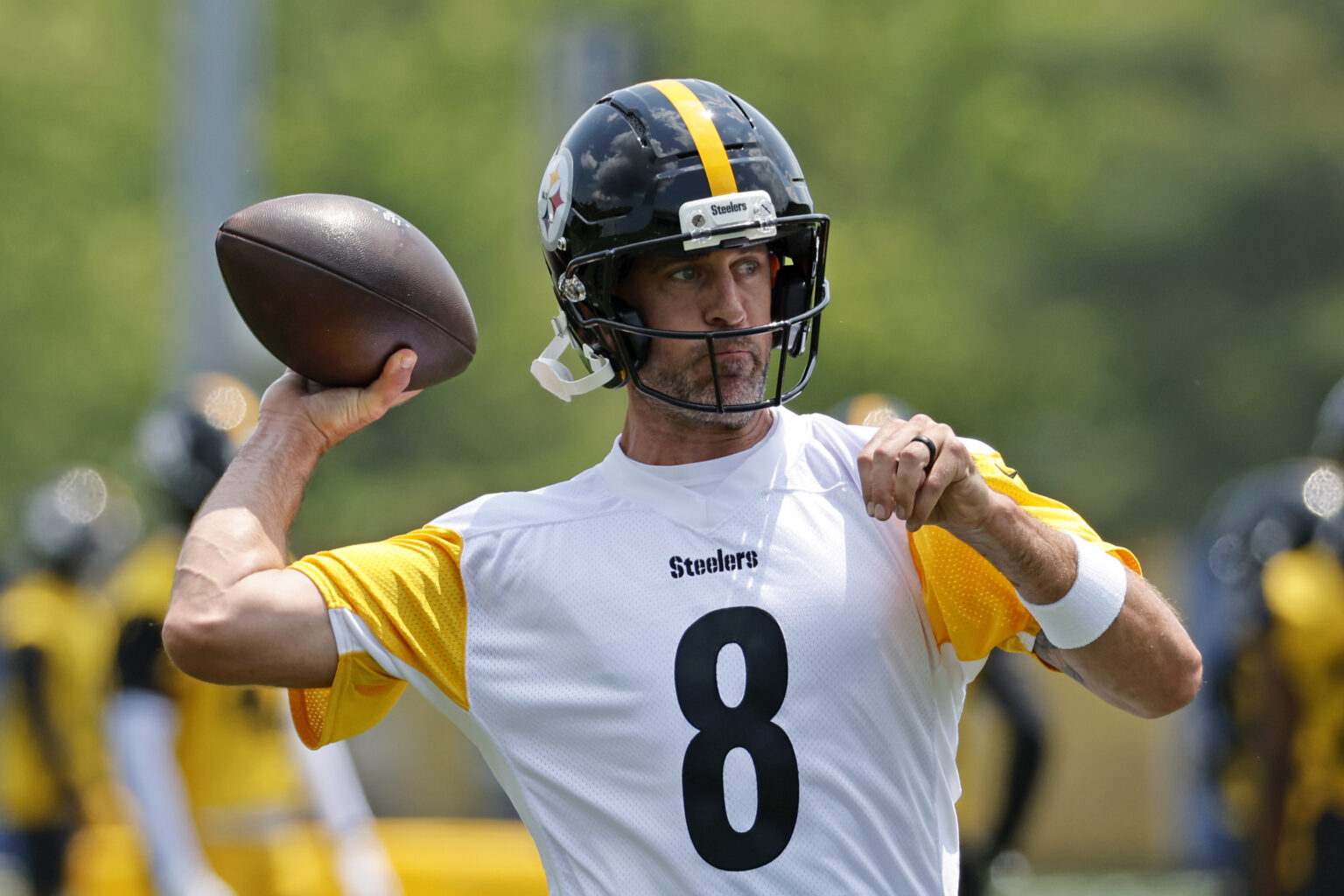 Aaron Rodgers Fit With Steelers Called Into Question by NFL Legend