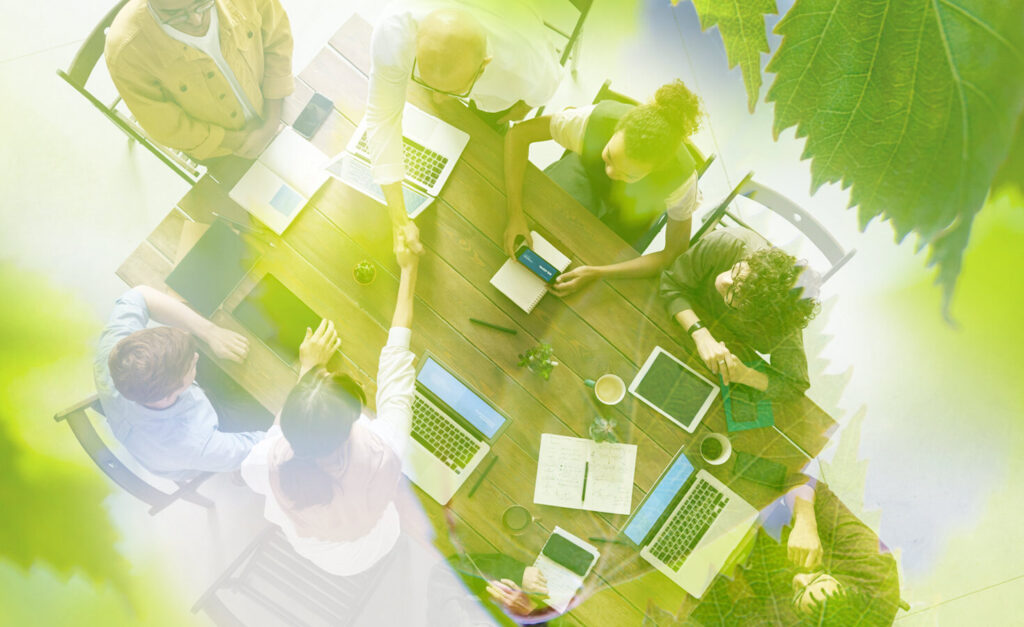 4 leadership tips to start a sustainability career in 2025