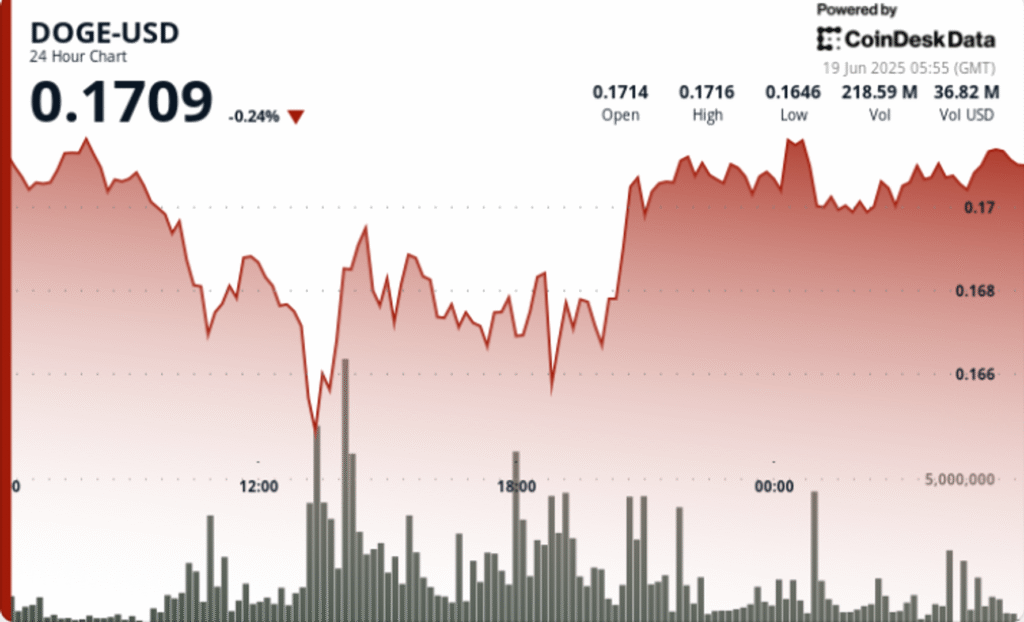 Dogecoin Steady But Flashing ‘Oversold’ in Signal for Bearish Bets