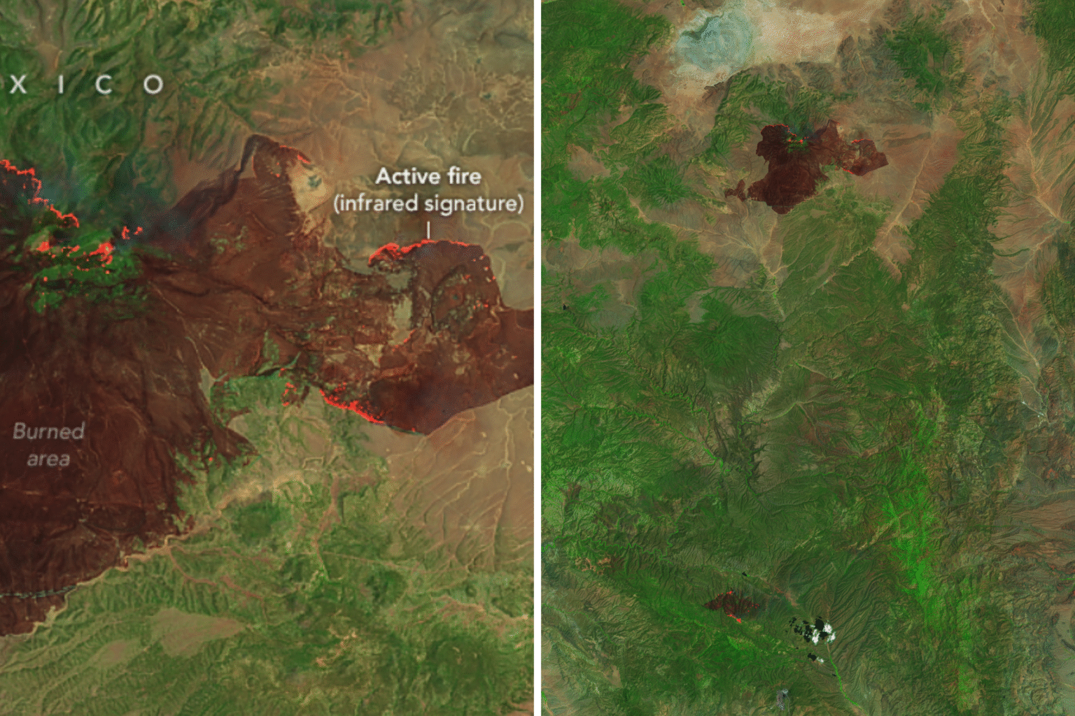 Satellite Images Reveal Scale of Wildfires Scorching New Mexico