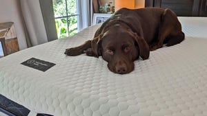 I Was Overwhelmed by Mattress Shopping. This $374 Mattress Topper Bought Me a Few More Comfortable Years I Was Overwhelmed by Mattress Shopping. This $374 Mattress Topper Bought Me a Few More Comfortable Years
