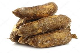 Nigeria Falls Short in $180bn Global Cassava Processing Industry Nigeria Falls Short in $180bn Global Cassava Processing Industry