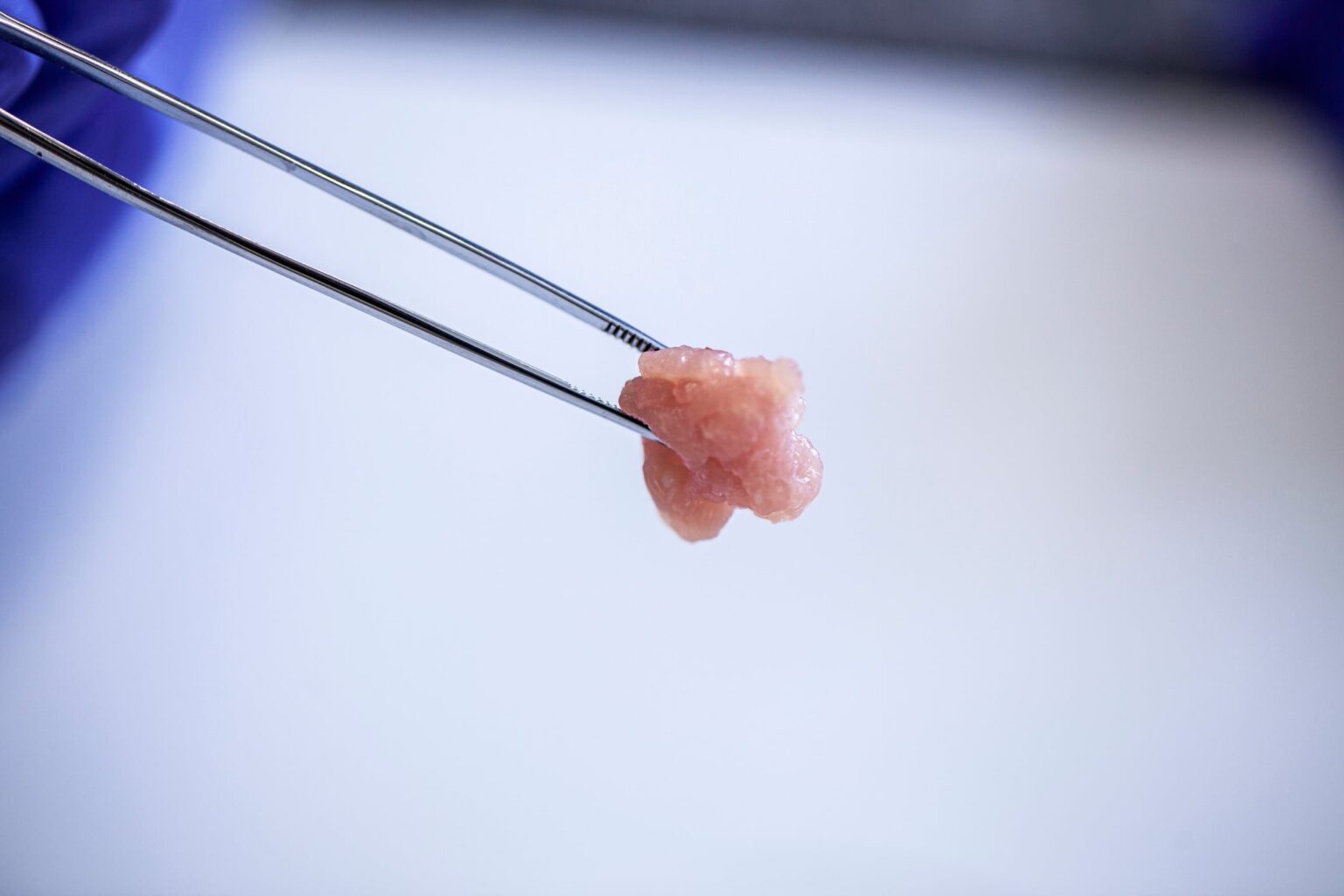 AI and digital twins power cultivated meat R&D