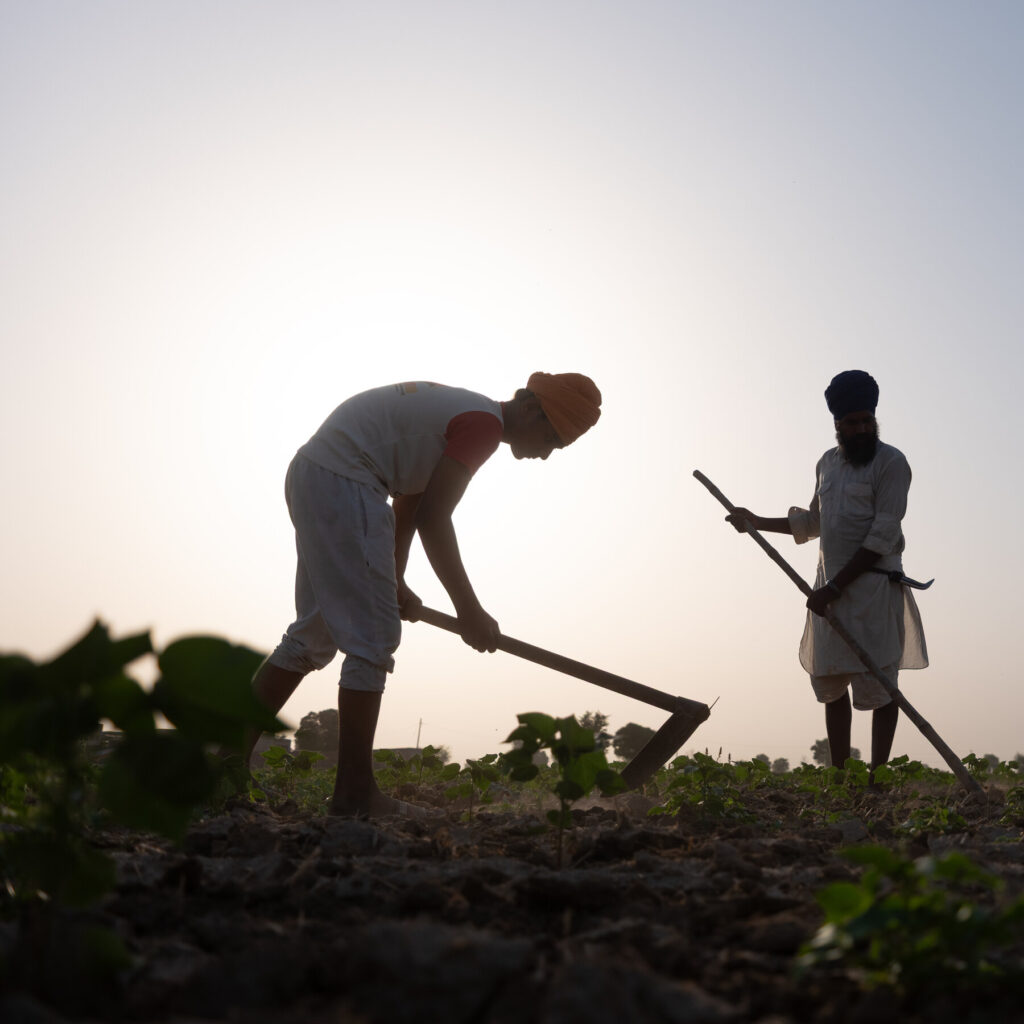 How the Hottest Place in India Survives