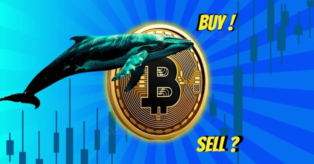 Bitcoin Demand Wanes: Fakeout or Parabolic Rally Ahead?