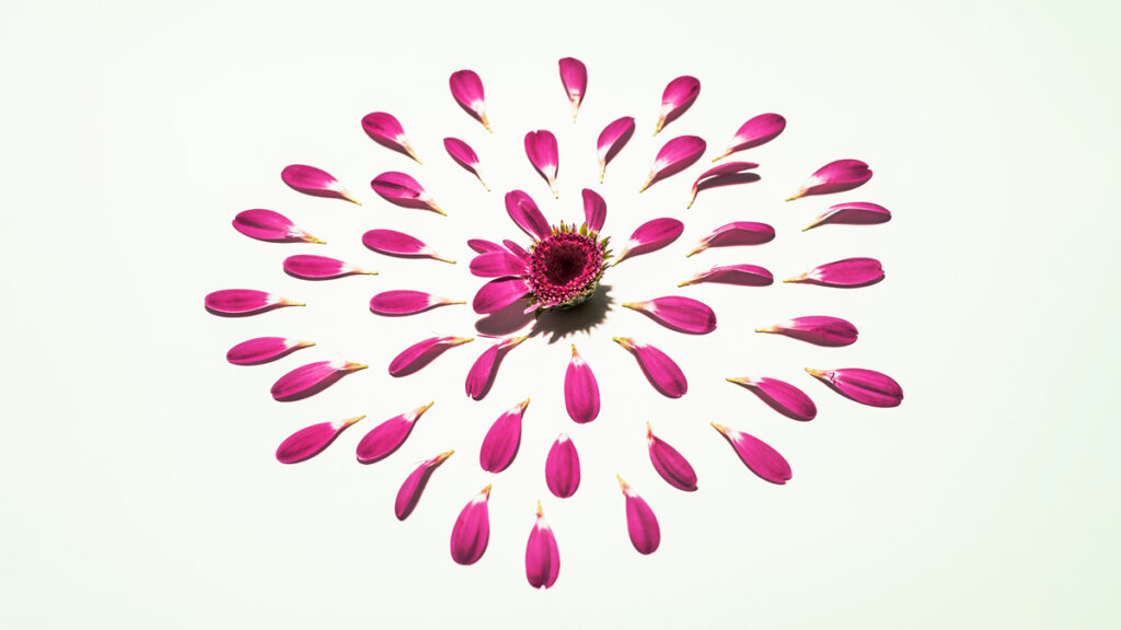 Research: Being Well Connected Isn’t Always Good for Your Career