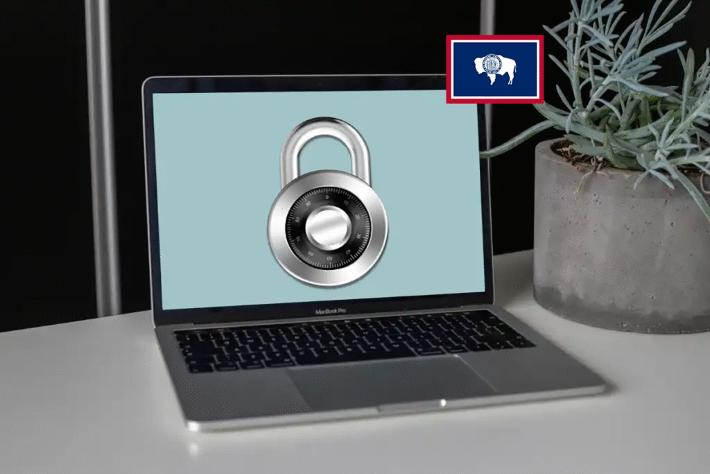 Best VPN for Wyoming: Pornhub workarounds