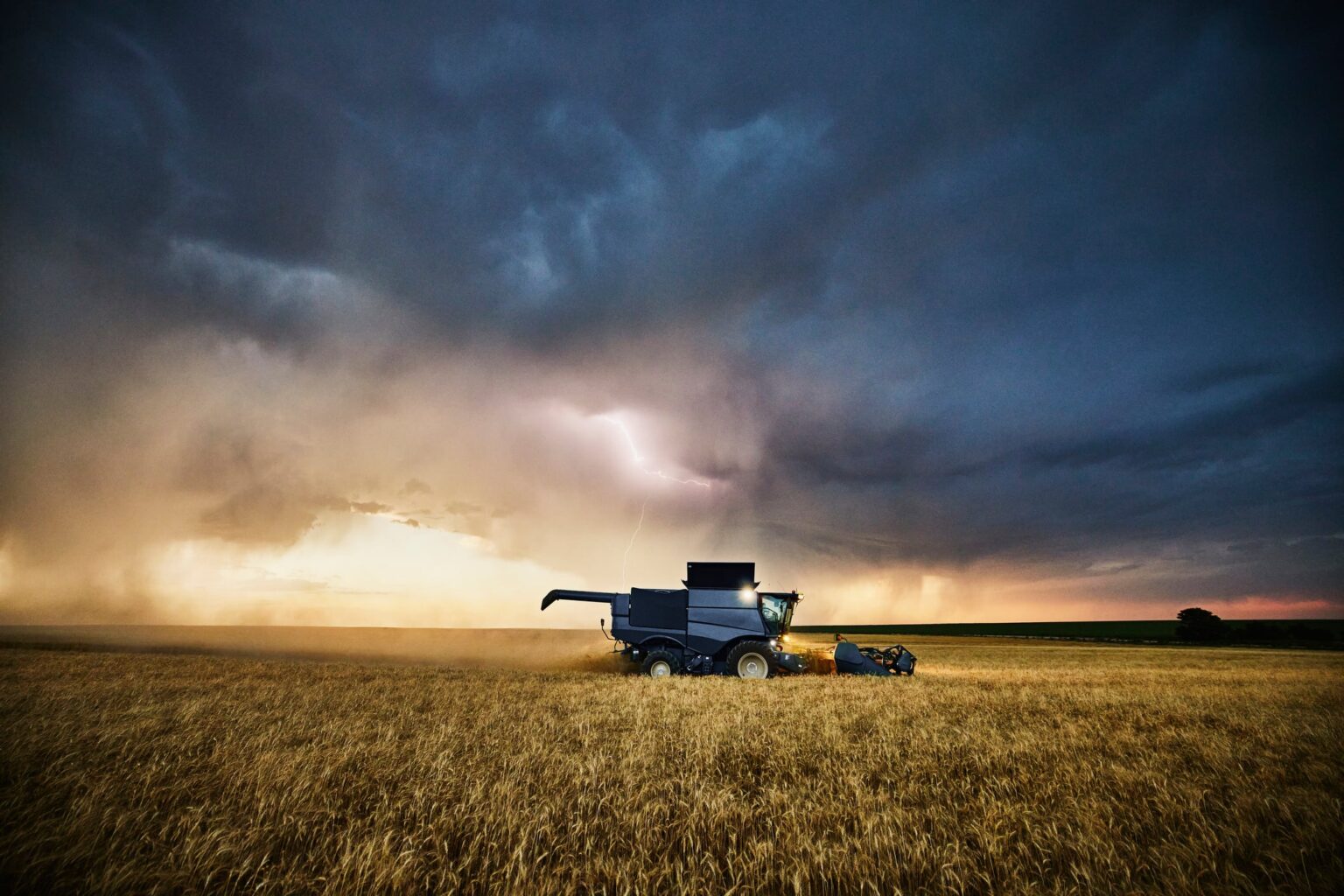 CAP payment cuts: What does it mean for EU food? CAP payment cuts: What does it mean for EU food?