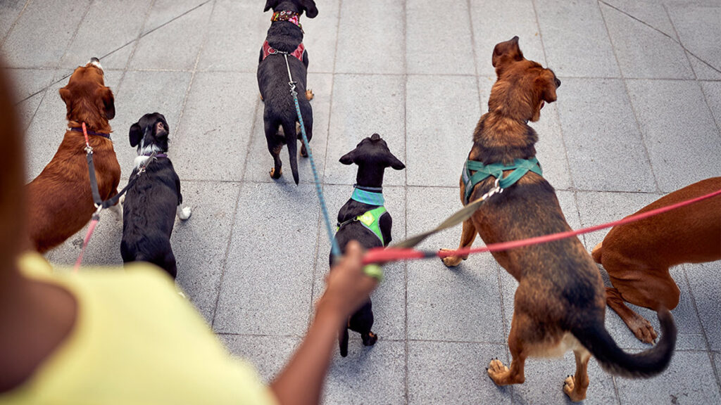 A Data-Based Approach to Delegating A Data-Based Approach to Delegating