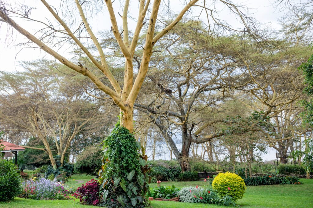 Discover the Benefits of Visiting a Local Tree Farm for Your Needs Discover the Benefits of Visiting a Local Tree Farm for Your Needs