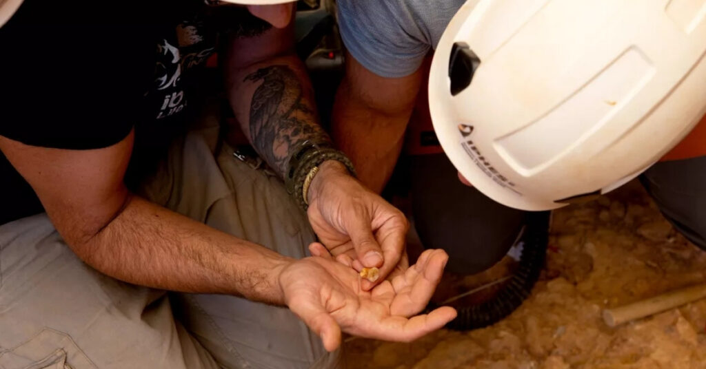 Scientist Just Learned Our Ancestors Ate Toddlers…